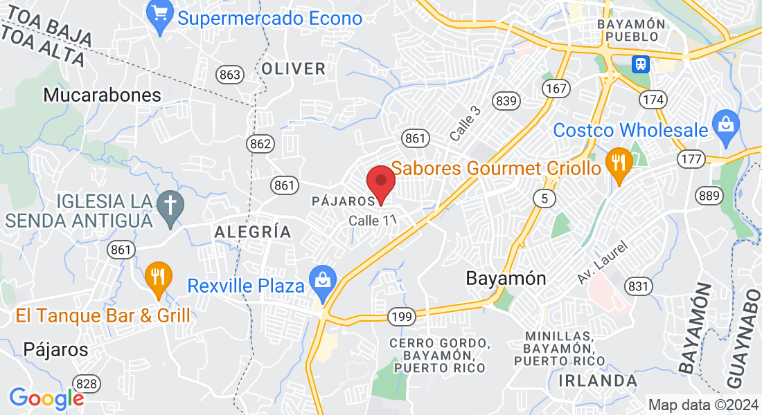 Av. Castiglioni, Bayamón, 00957, Puerto Rico