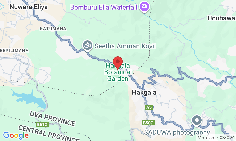WRGC+JJJ, Peradeniya-Badulla-Chenkaladi Hwy, Hakgala, Sri Lanka
