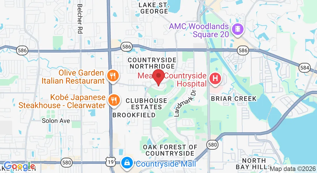 3243 Springwood Dr, Clearwater, FL 33761, USA