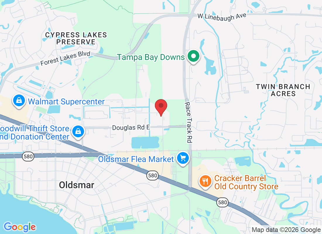 301 Burbank Rd, Oldsmar, FL 34677, USA