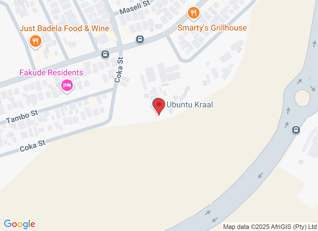 11346 Senokoanyana St, Dube, Johannesburg, 1801, South Africa