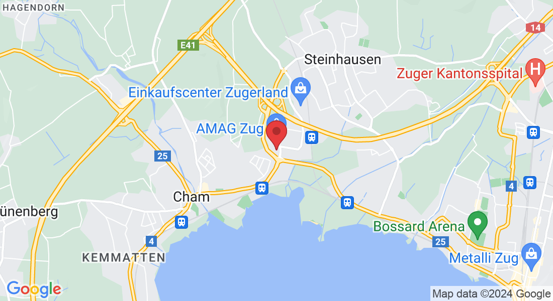 Alte Steinhauserstrasse 1, 6330 Cham, Schweiz
