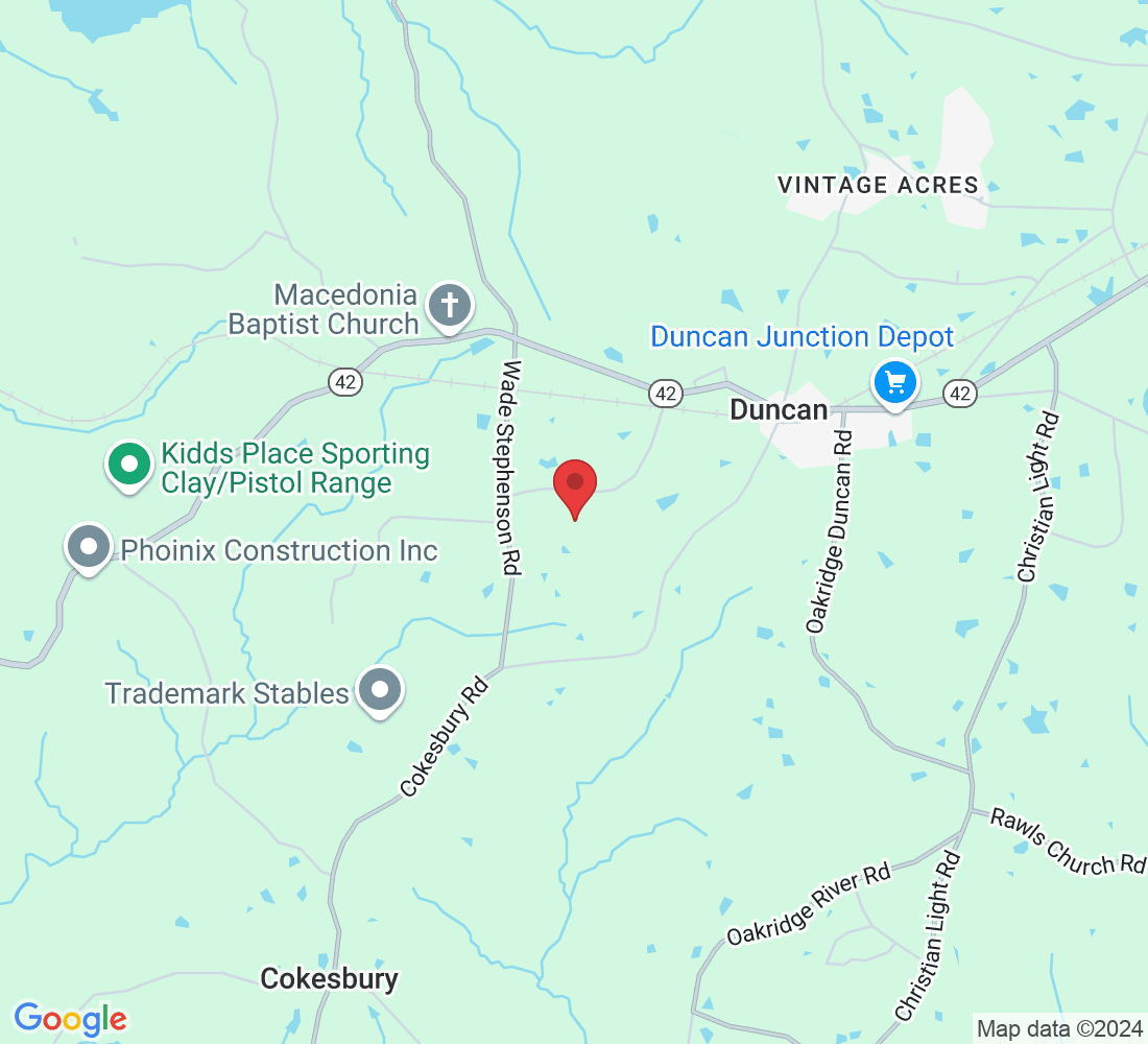 134 Patstown Rd, Holly Springs, NC 27540, USA