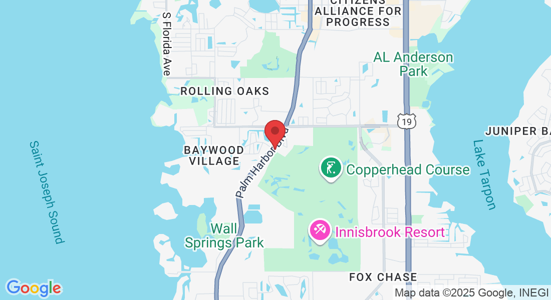 4824 US-19 ALT, Palm Harbor, FL 34683, USA