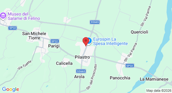 13, Str. per Parma, 25A, 43010 Pilastro PR, Italia