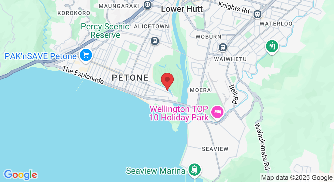 459 Jackson Street, Petone, Lower Hutt 5012, New Zealand