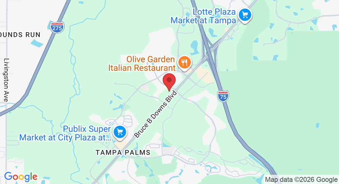 16350 Bruce B Downs Blvd, Tampa, FL 33647, USA