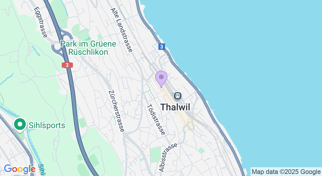 Gotthardstrasse 41, 8800 Thalwil, Switzerland