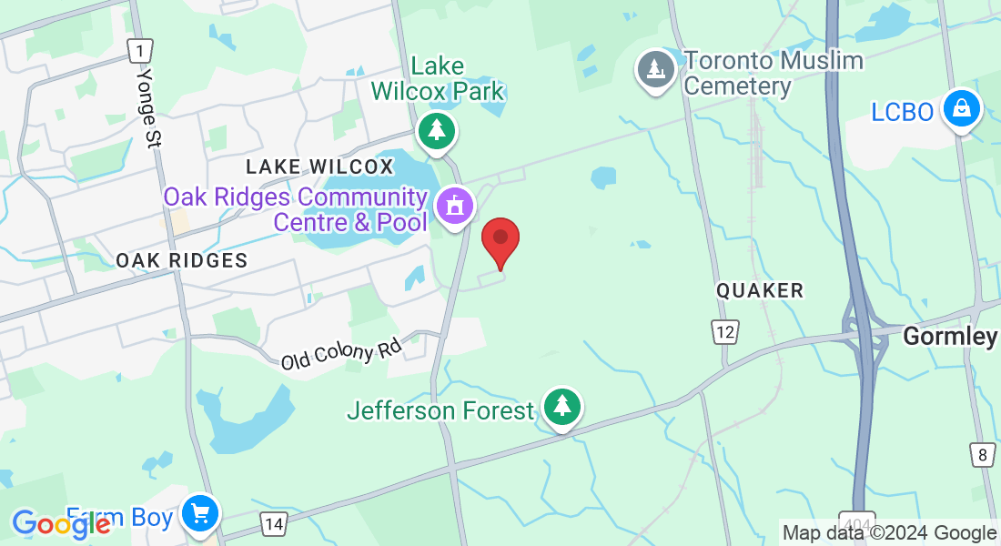 120 Dariole Dr, Richmond Hill, ON L4E 5B6, Canada