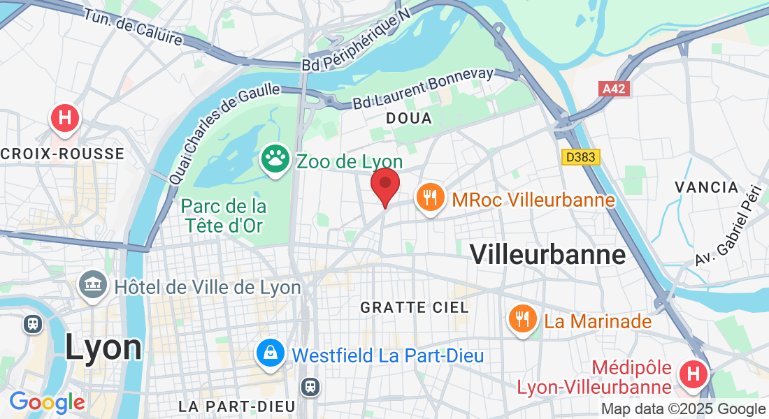 35 Av. Roger Salengro, 69100 Villeurbanne, France