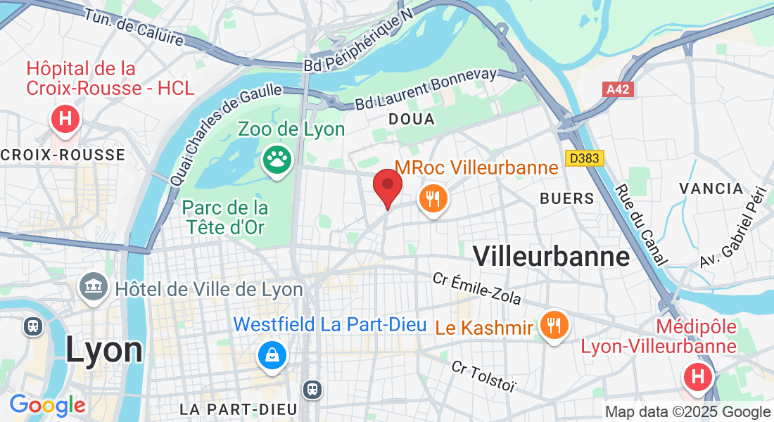 35 Av. Roger Salengro, 69100 Villeurbanne, France
