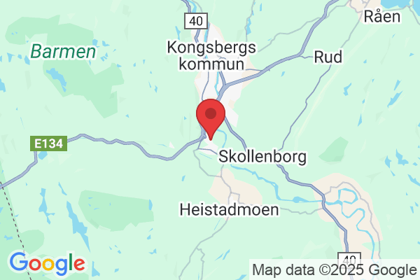 Lyngveien 27, 3615 Kongsberg, Norge