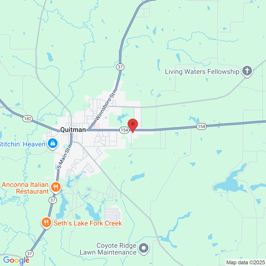 1102 E Goode St, Quitman, TX 75783, USA