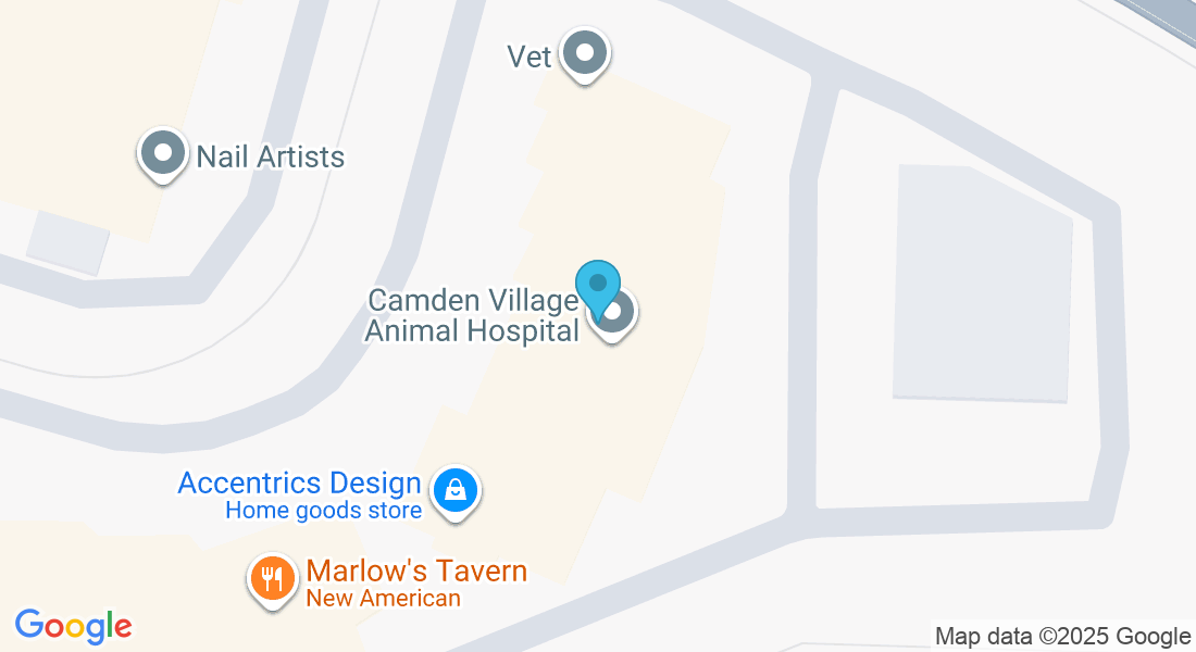 3719 Old Alabama Rd ste 400 a, Alpharetta, GA 30022, USA
