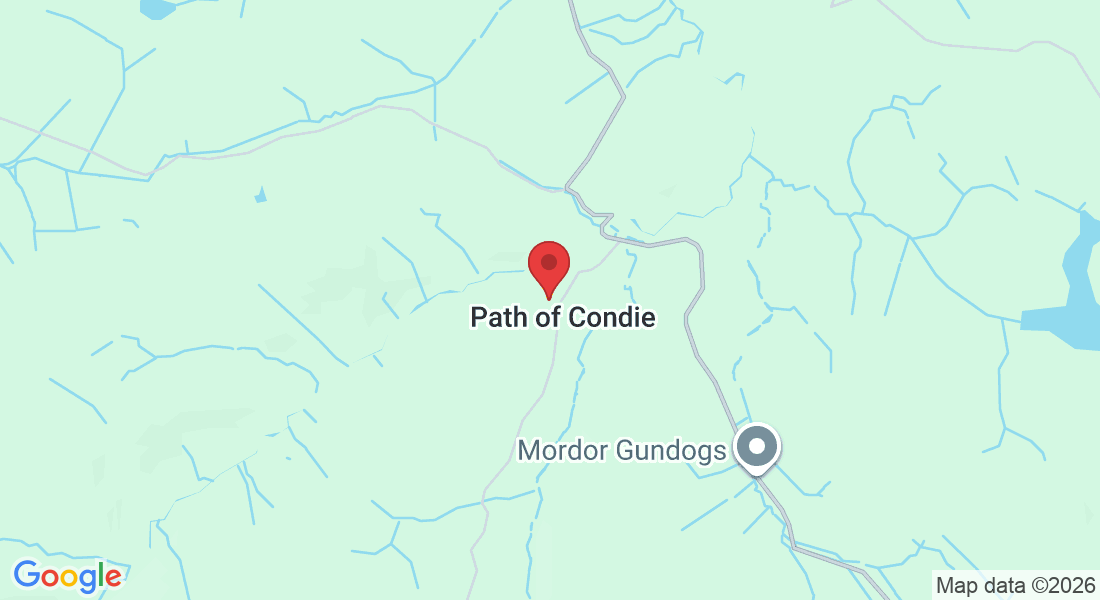 Unnamed Road, Path of Condie, Perth PH2 9DW, UK