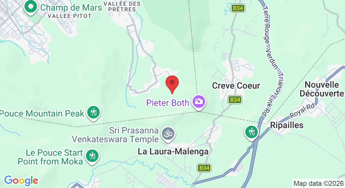 Pieter Both, Mauritius