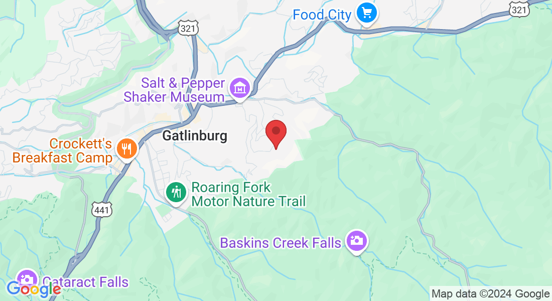 236 Stone Fence Ln, Gatlinburg, TN 37738, USA