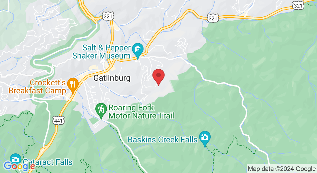 236 Stone Fence Ln, Gatlinburg, TN 37738, USA