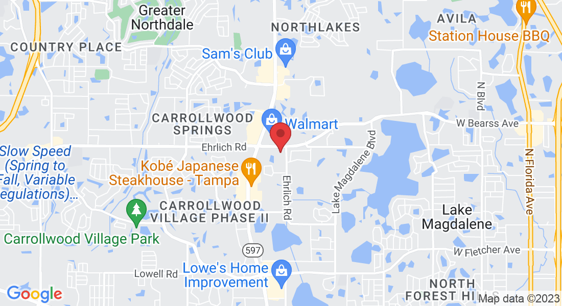 3605 Madaca Ln, Tampa, FL 33618, USA