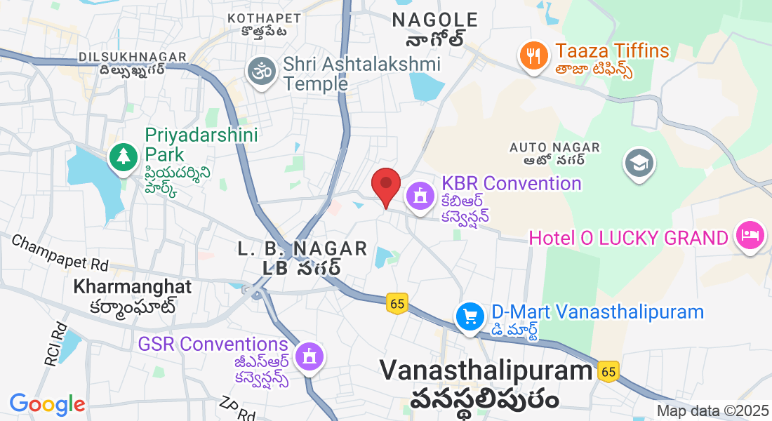 Mansoorabad, Telangana, India