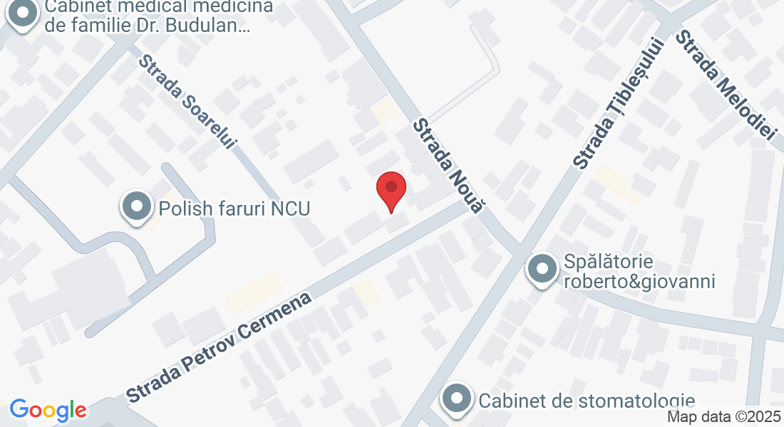 Strada Petrov Cermena 7, Timișoara, România