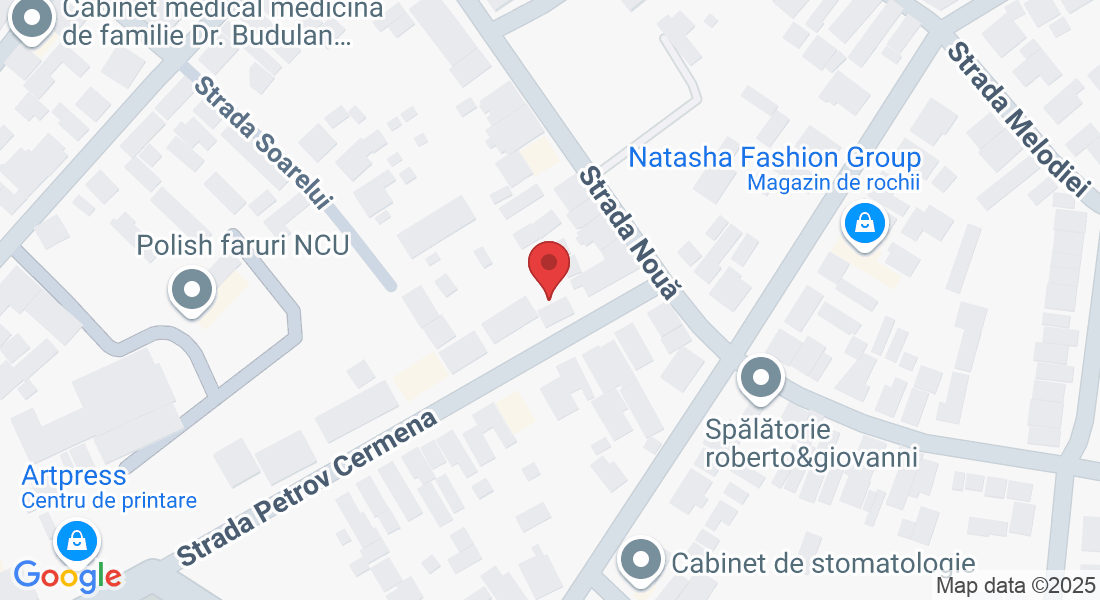 Strada Petrov Cermena 7, Timișoara, România