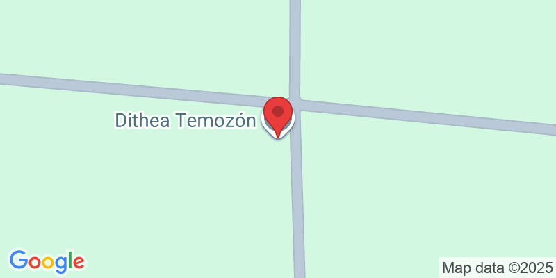 Calle 11, sn Temozon Norte, Temozon Norte, 97302 Mérida, Yuc., México