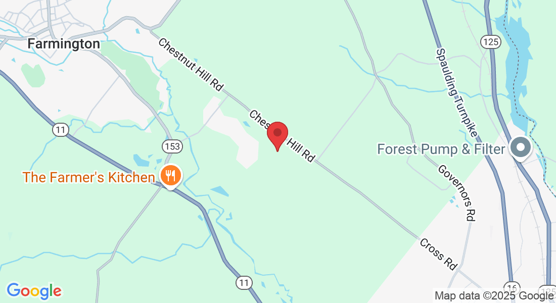 296 Chestnut Hill Rd, Farmington, NH 03835, USA