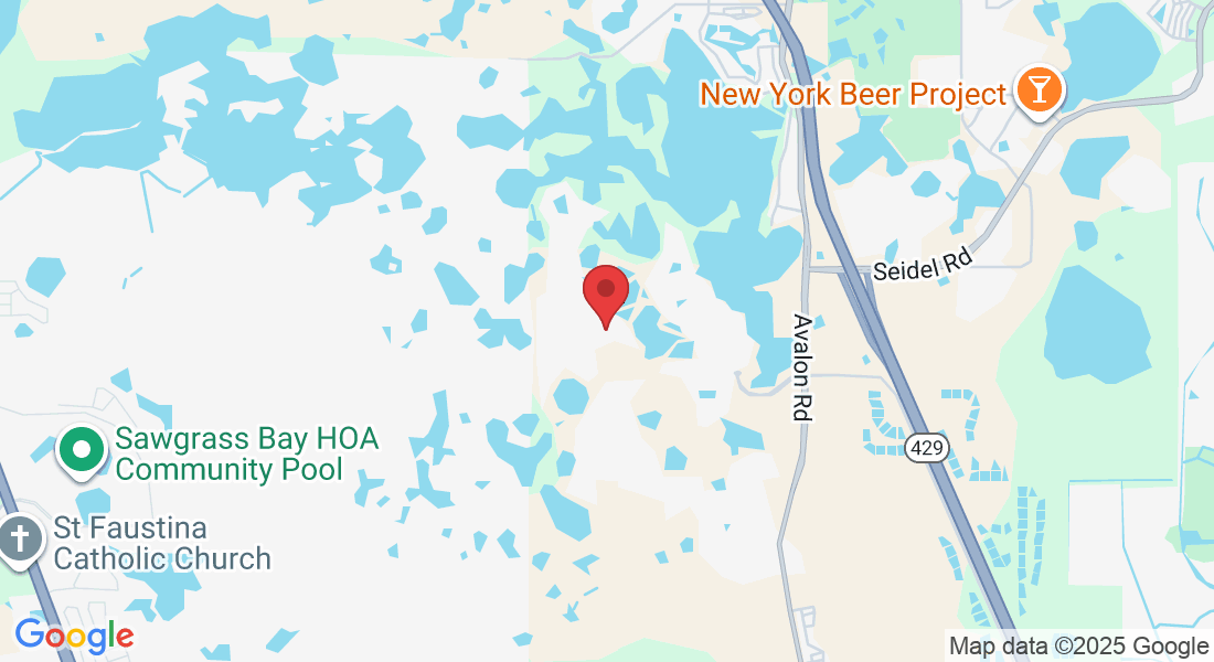 16724 Oakboro St, Oakland, FL 34787, USA