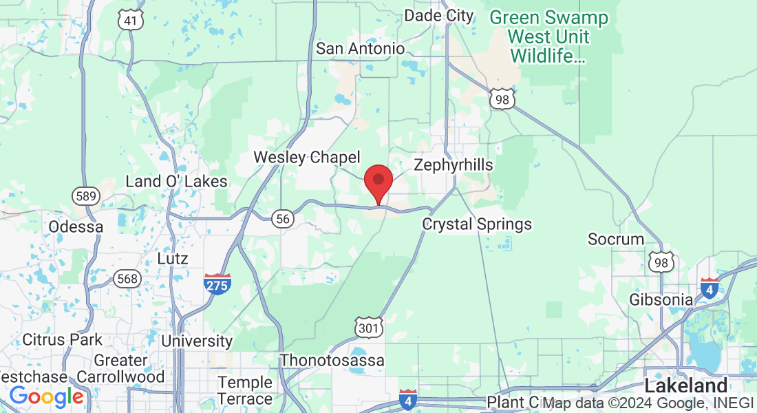 33876 Jasmine Star Lp, Wesley Chapel, FL 33543, USA