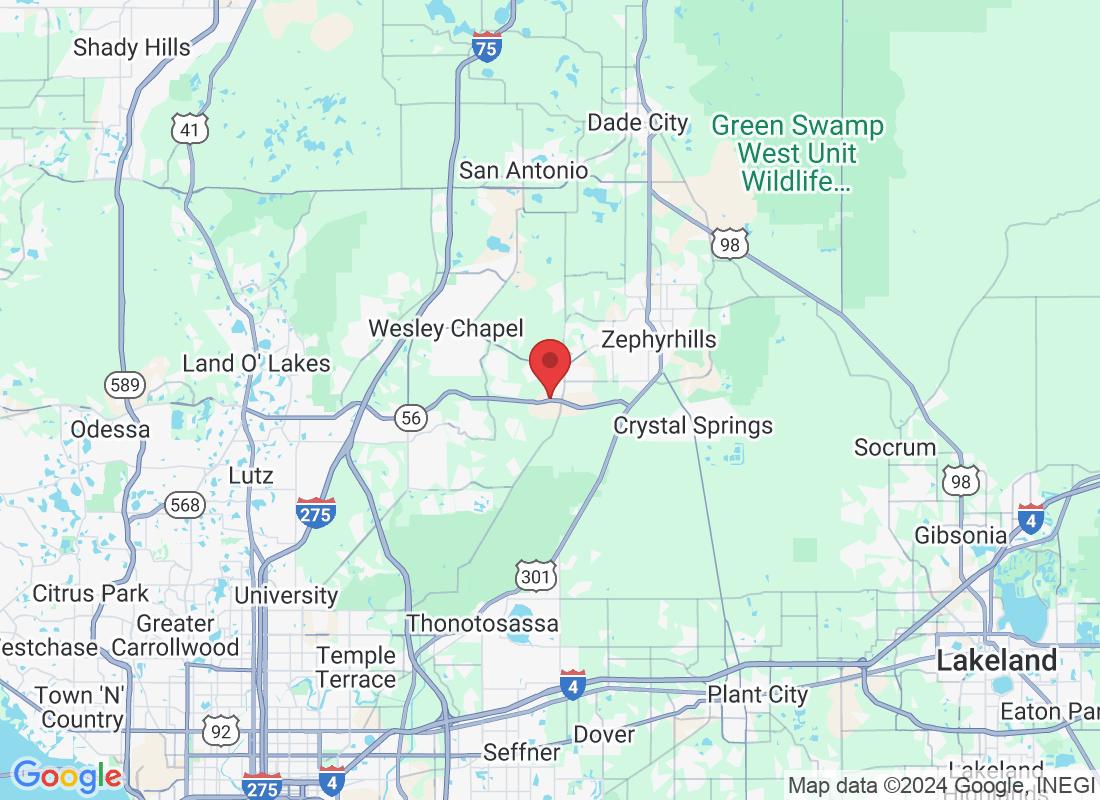 33876 Jasmine Star Lp, Wesley Chapel, FL 33543, USA