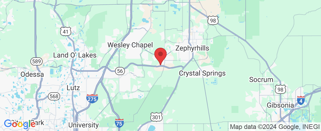 33876 Jasmine Star Lp, Wesley Chapel, FL 33543, USA