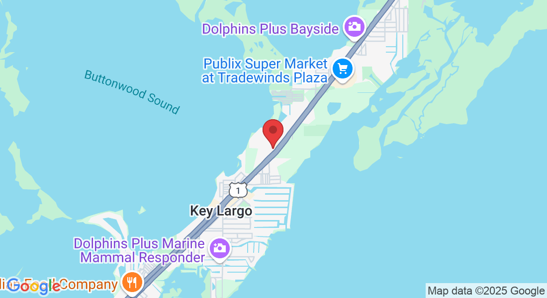 100410 Overseas Hwy suite 201, Key Largo, FL 33037, USA