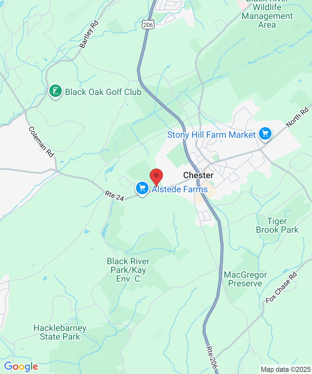 290 W Main St, Chester, NJ 07930, USA