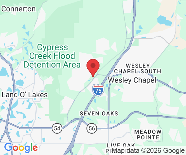 27053 Halter Lp, Wesley Chapel, FL 33544, USA