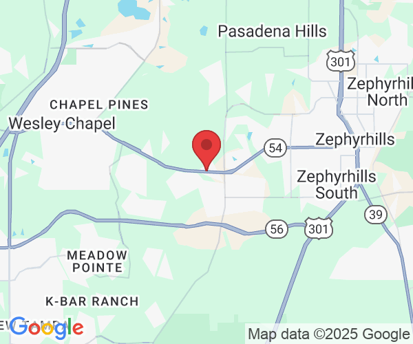 33913 FL-54, Wesley Chapel, FL 33545, USA