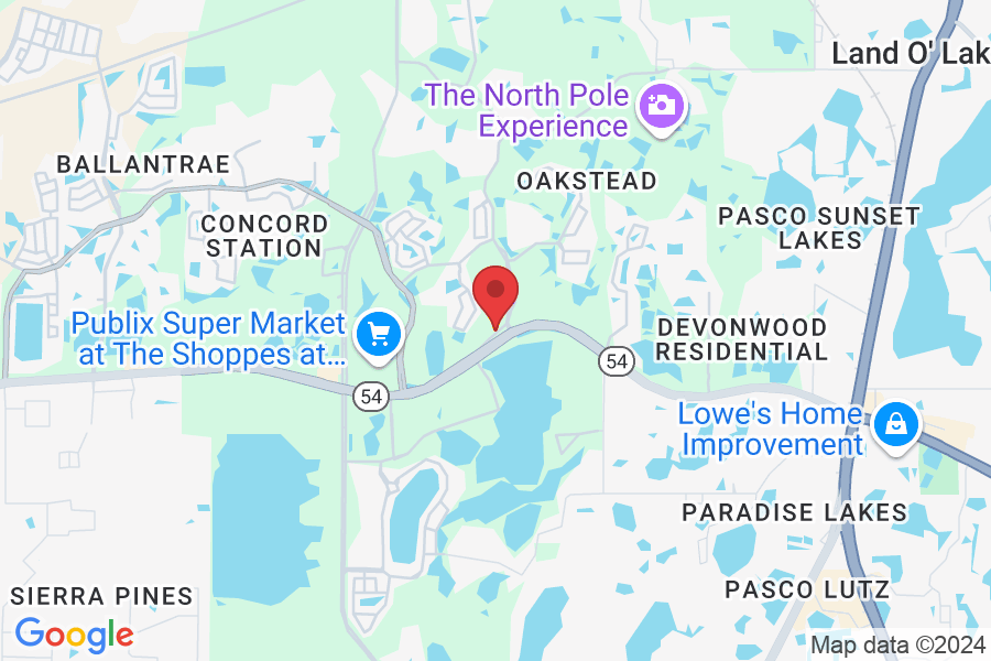 19455 Shumard Oak Dr UNIT 103, Land O' Lakes, FL 34638, USA