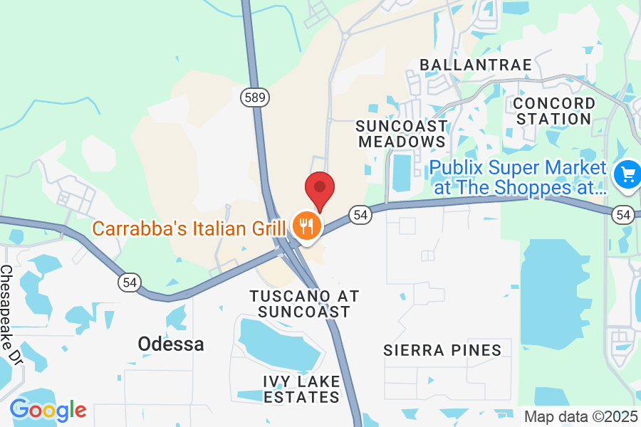 16936 Focus Lp, Land O' Lakes, FL 34638, USA