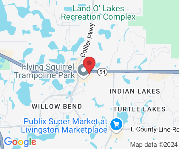 23104 State Rd 54, Lutz, FL 33549, USA