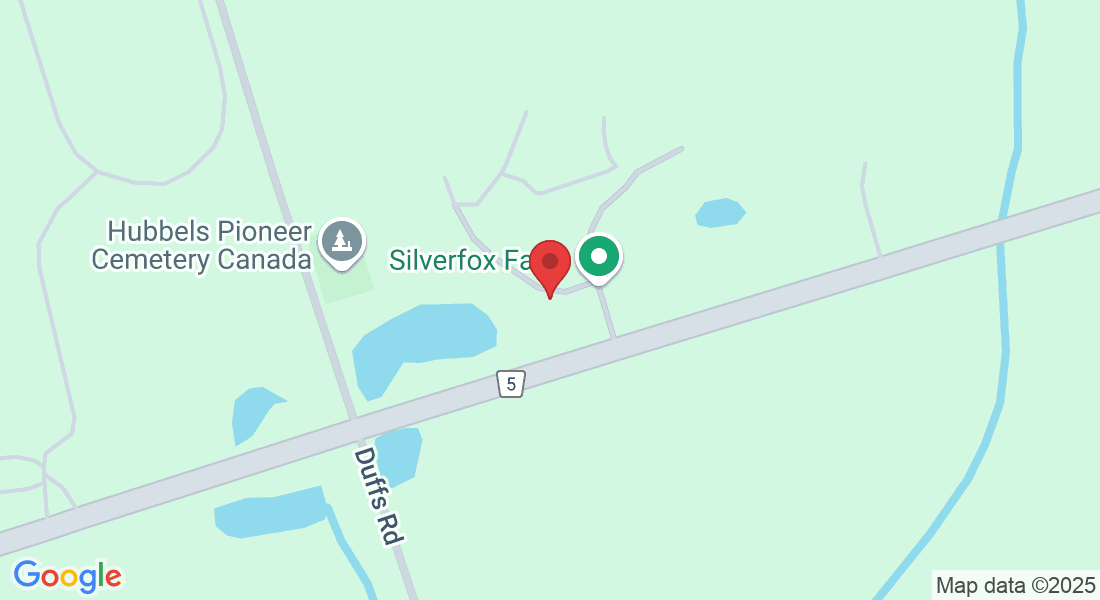 140 Myrtle Rd W, Whitby, ON L0B 1A0, Canada