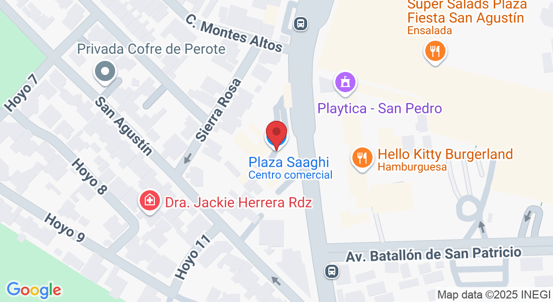 Av. Real San Agustin 302, Residencial San Agustín 1er Sector, 66260 San Pedro Garza García, N.L., Mexico