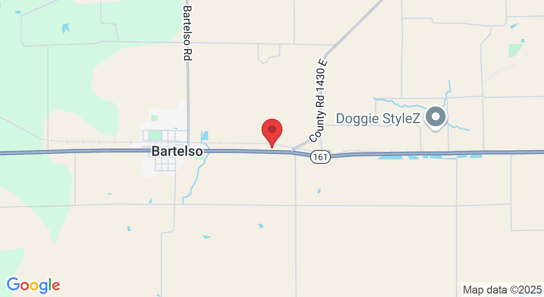 1509 Carlyle Rd, Bartelso, IL 62218, USA
