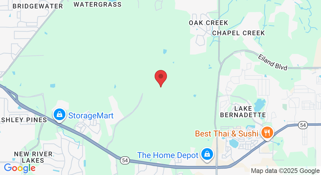 5660 Wandering Willow Dr, Wesley Chapel, FL 33545, USA