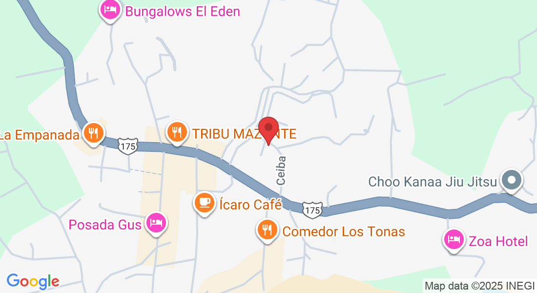 Behind the basketball courts, 70947 Mazunte, Oax., Mexico