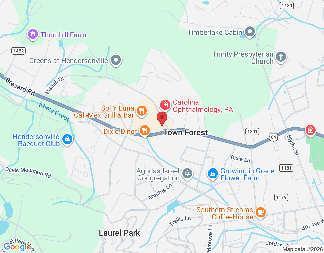 1703 Brevard Rd, Hendersonville, NC 28791, USA