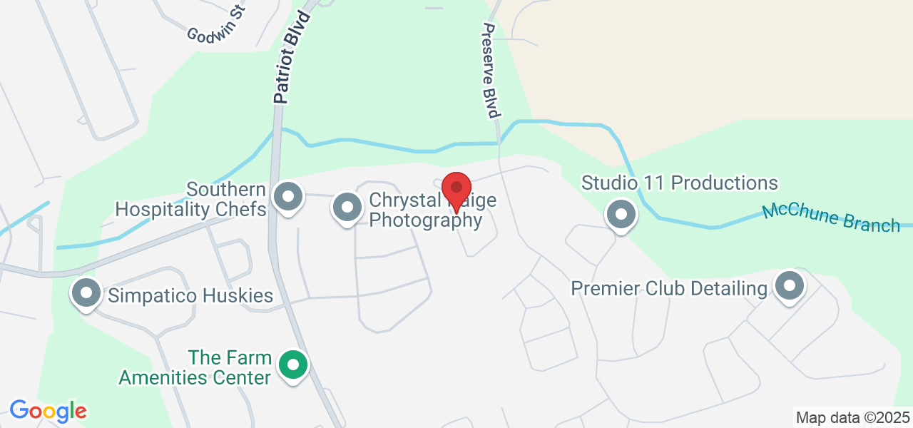 9736 Black Willow Ln, Ladson, SC 29456, USA