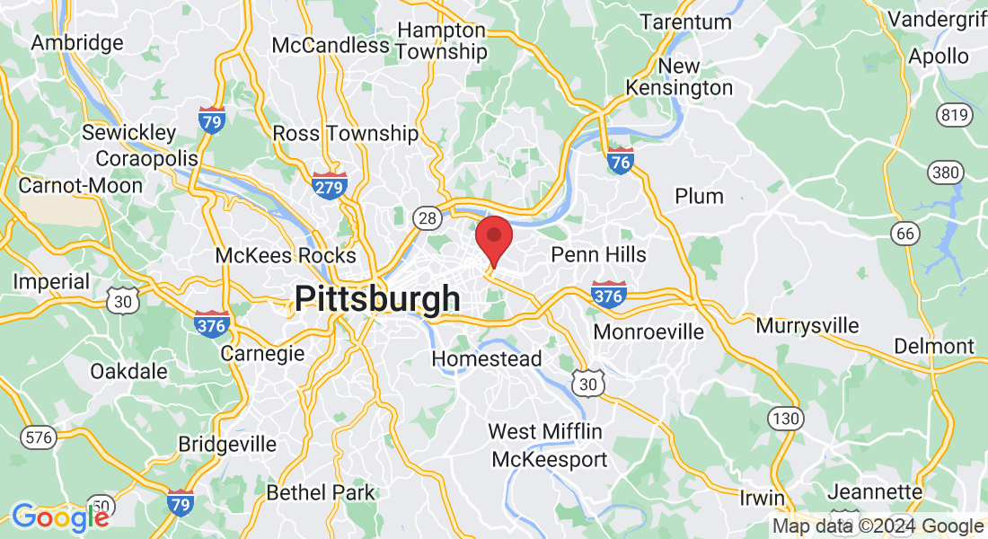 612 La Schall St, Pittsburgh, PA 15208, USA