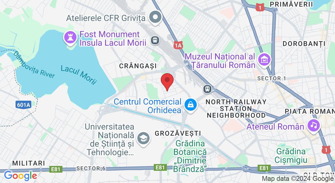 Aleea Țibleș 45, București 061505, Romania