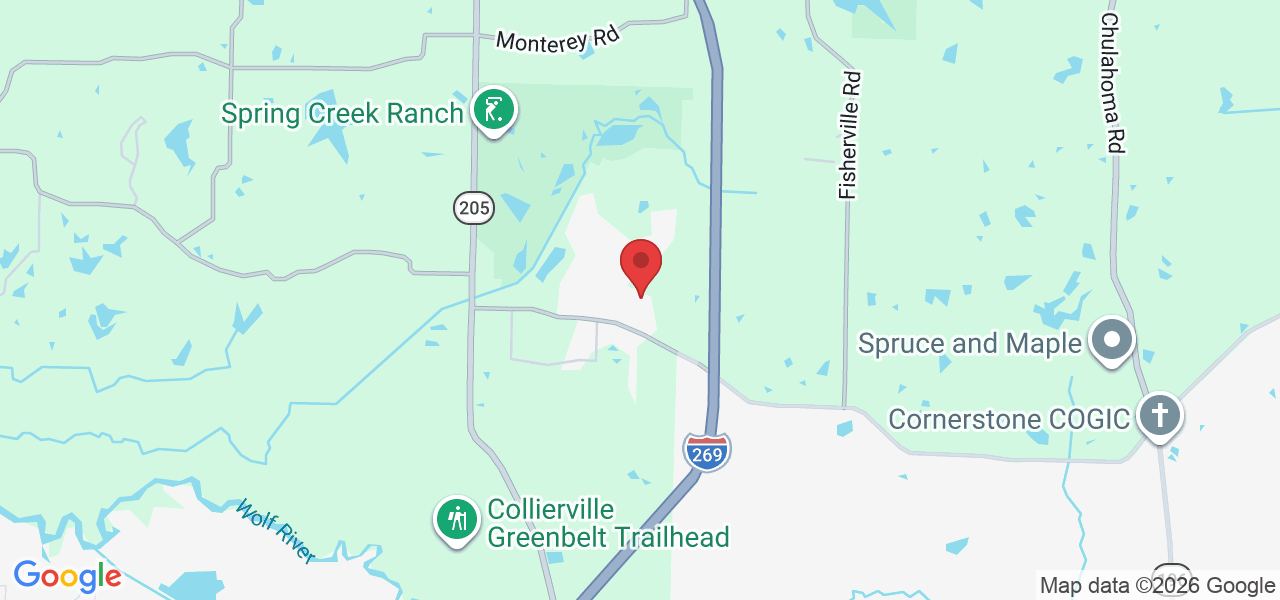 12592 Miss Carson Ln, Collierville, TN 38017, USA