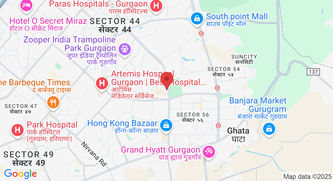 Plot No. 2, Wazirabad, Sector 52, Gurugram, Haryana 122003, India